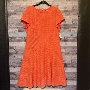 New! Sandra Darren Orange Dress